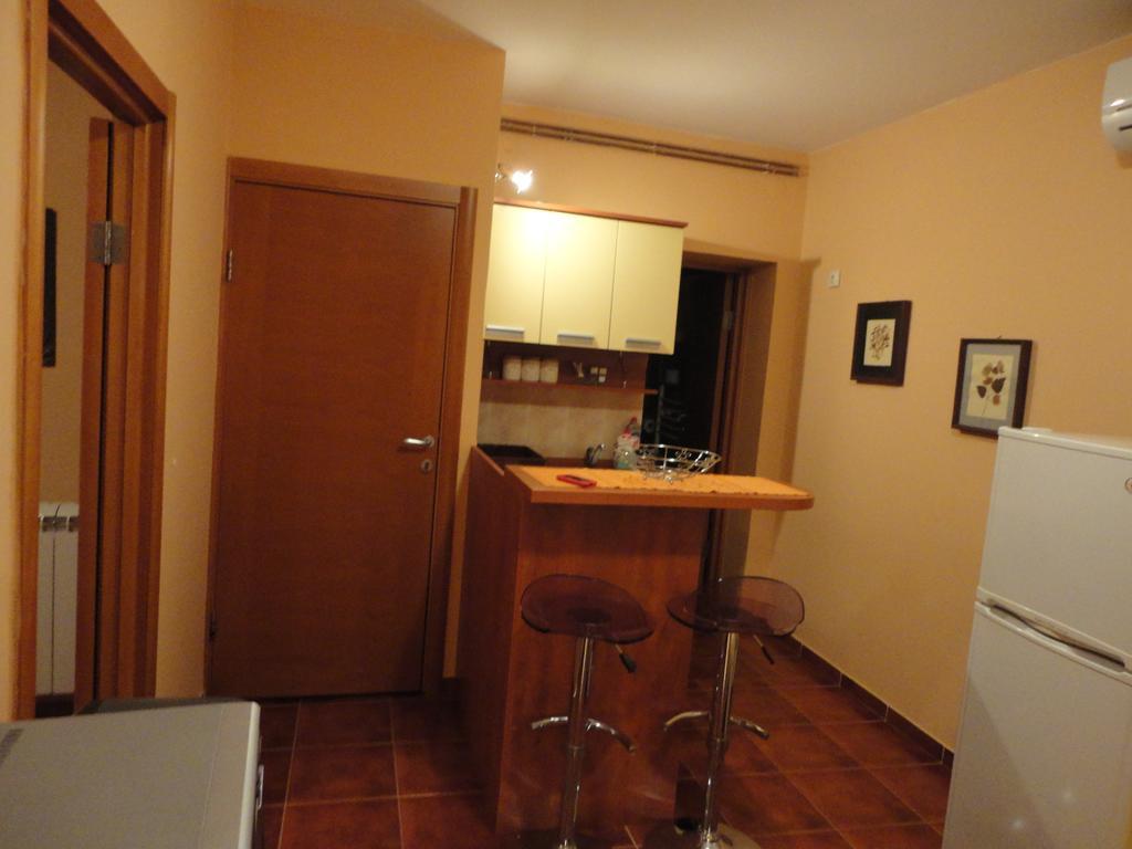 Apartment Danka Budva Room photo